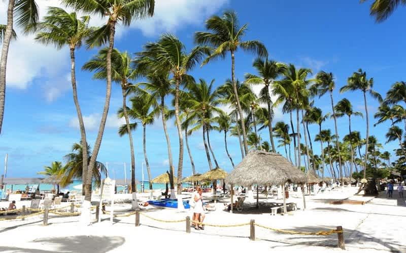 Aruba-Palm-Plaji